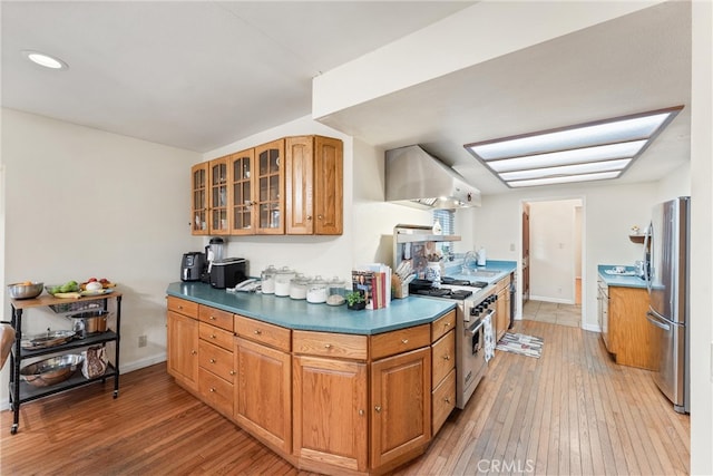 kitchen featuring stainless steel appliances, wall chimney exhaust hood, sink, and light wood-type flooring