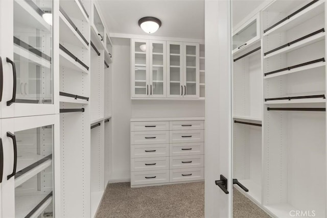 spacious closet with light colored carpet