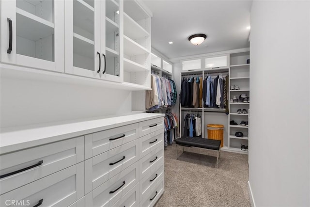 spacious closet featuring light colored carpet