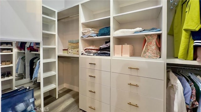 spacious closet featuring hardwood / wood-style flooring