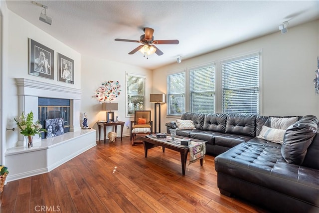 living room featuring ceiling fan and hardwood / wood-style flooring