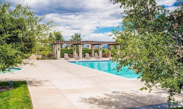 view of swimming pool with a patio