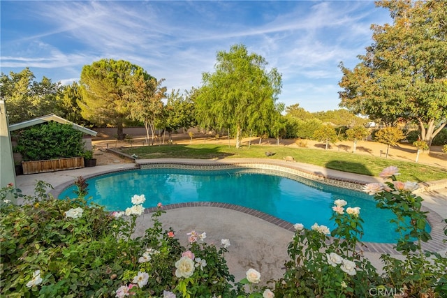 view of swimming pool with a lawn and a patio area