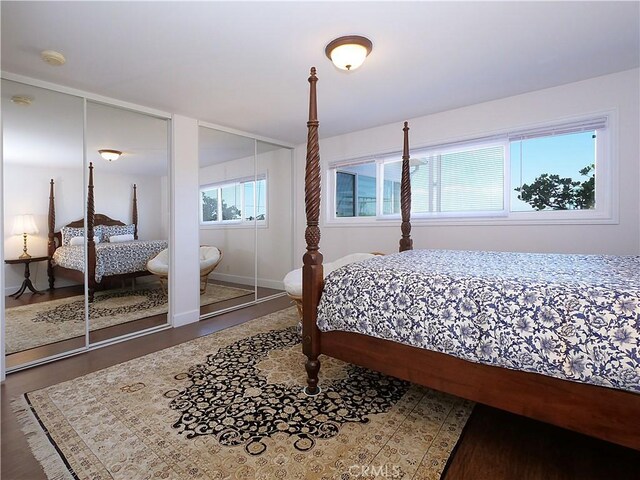 bedroom with hardwood / wood-style flooring, multiple windows, and multiple closets