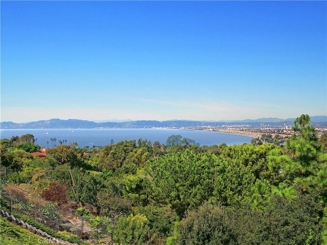 view of mountain feature with a water view