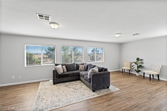 living room featuring wood-type flooring, a textured ceiling, and a wealth of natural light