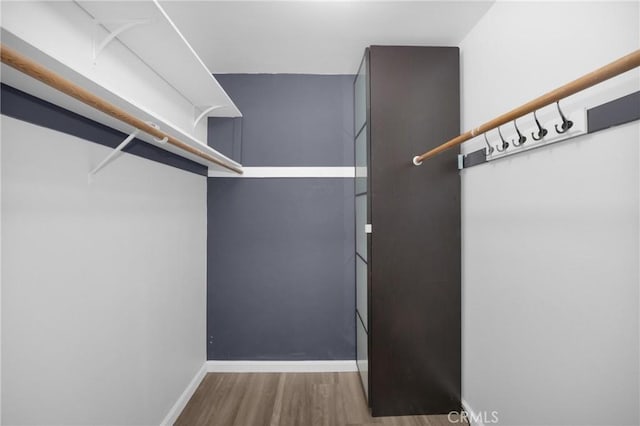 walk in closet with hardwood / wood-style floors