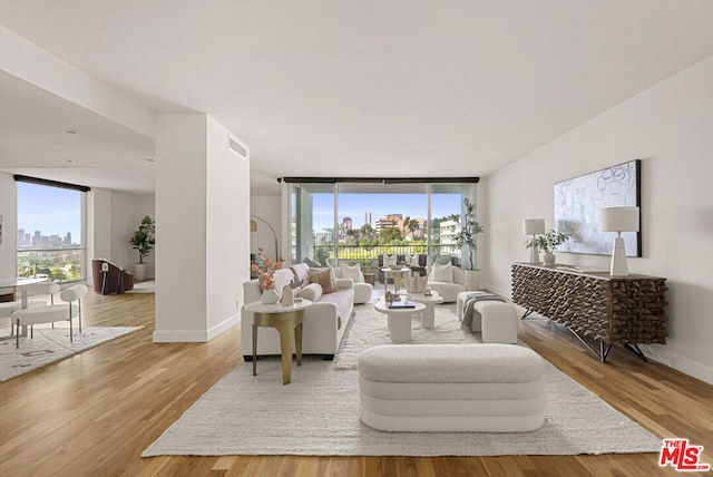 living room with expansive windows and light hardwood / wood-style flooring