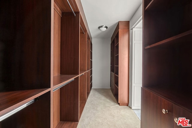 spacious closet featuring light carpet