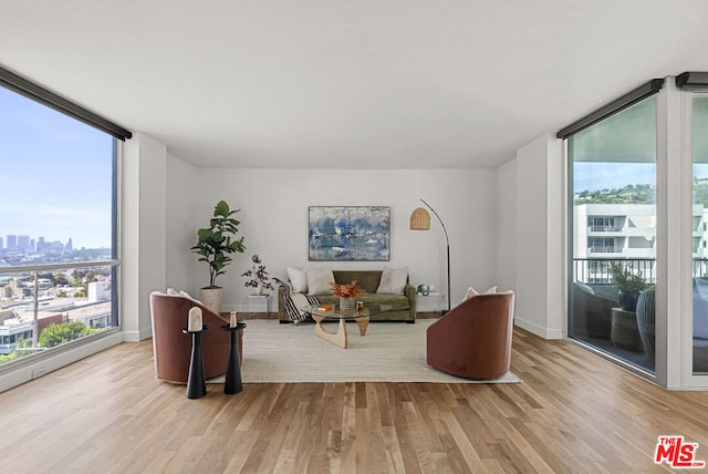 living room featuring a wall of windows and light wood-type flooring