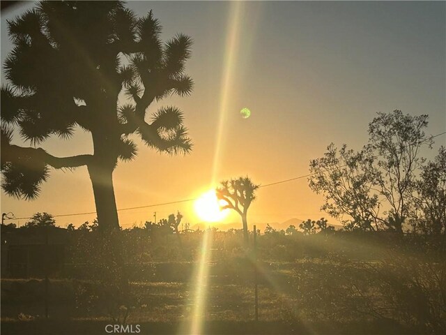 view of nature at dusk