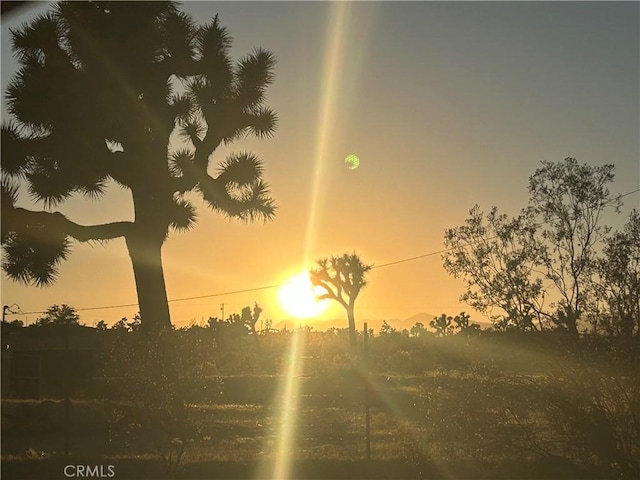 63737 Gibson Rd, Joshua Tree, CA 92252 - view of nature at dusk