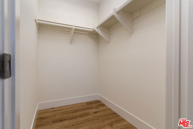 walk in closet with hardwood / wood-style flooring