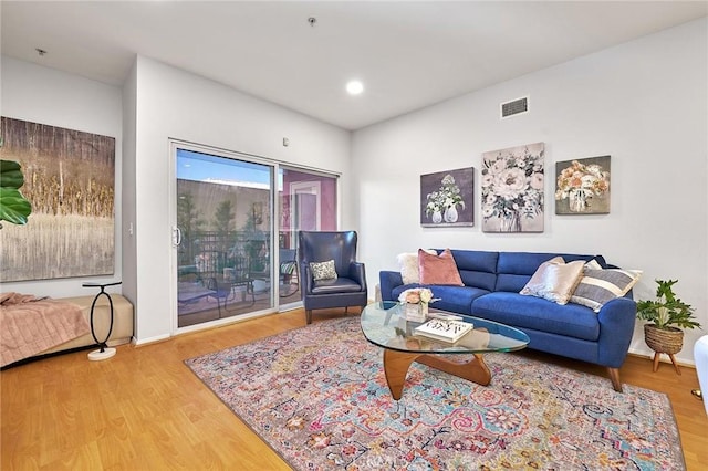 living room featuring wood-type flooring