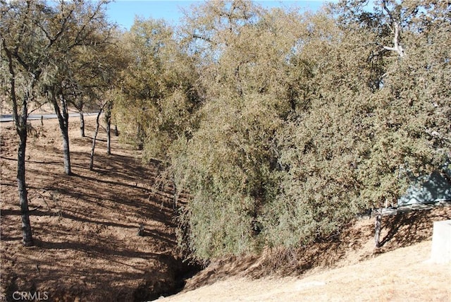 view of landscape