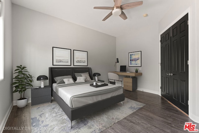 bedroom featuring ceiling fan, a closet, and dark hardwood / wood-style floors