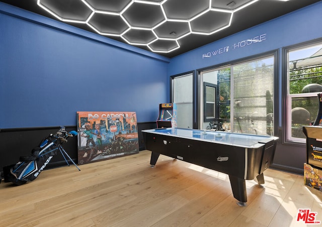 playroom featuring light wood-type flooring and a healthy amount of sunlight