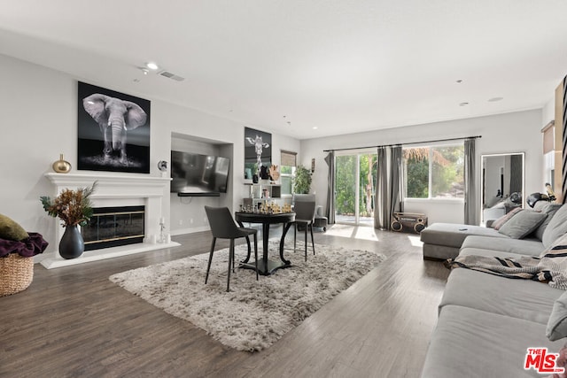 living room featuring dark wood-type flooring