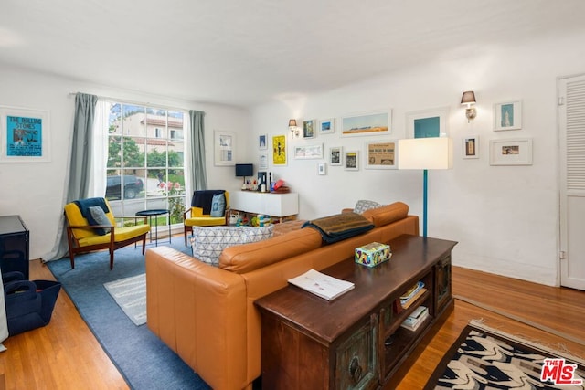 living room featuring light hardwood / wood-style floors