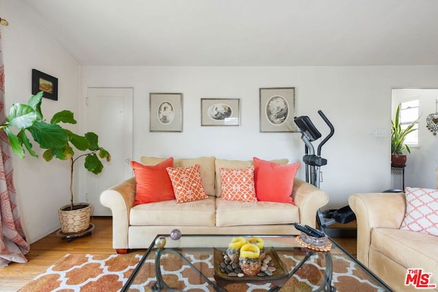 living room with light hardwood / wood-style flooring