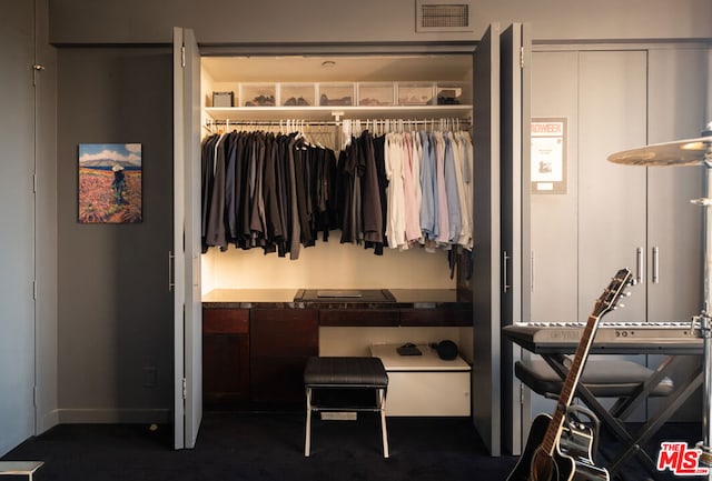 view of closet