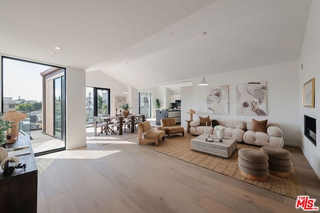 living room featuring light hardwood / wood-style flooring and lofted ceiling