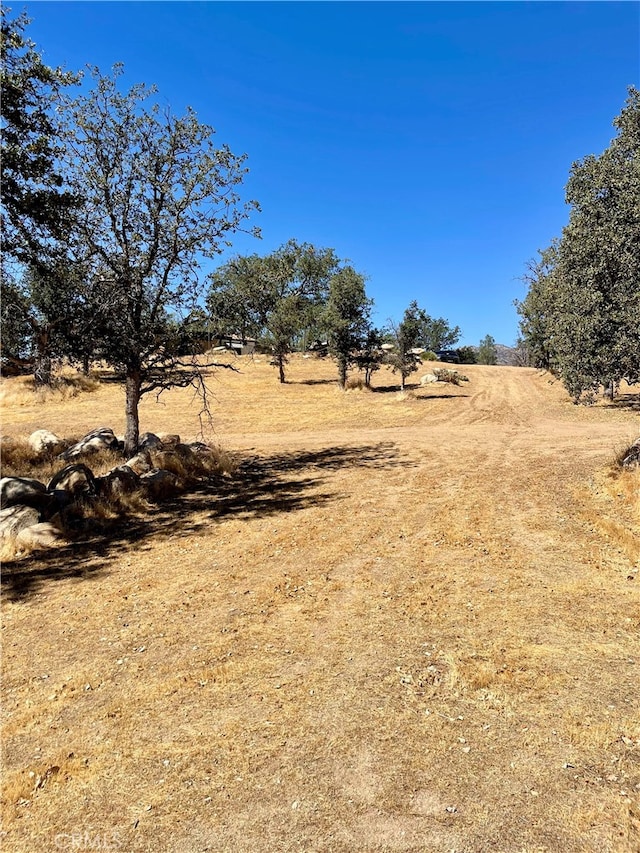 view of yard featuring a rural view