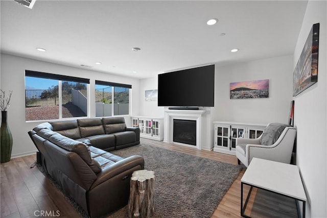 living room featuring hardwood / wood-style flooring