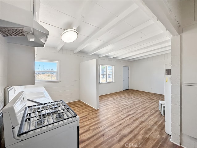 kitchen with stainless steel stove, wood-type flooring, and a healthy amount of sunlight