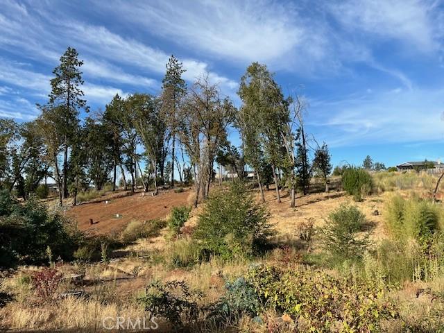 5709 Middle Libby Rd, Paradise, CA 95969