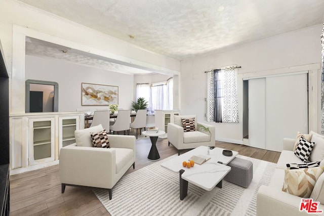 living room featuring a textured ceiling and light wood-type flooring