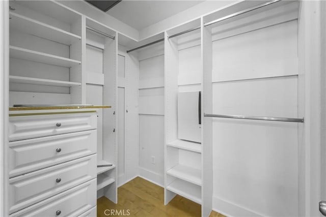 spacious closet featuring wood finished floors