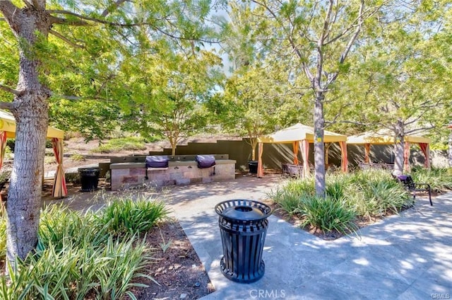 view of patio / terrace with an outdoor kitchen