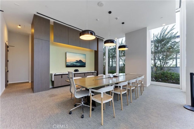 carpeted dining area with a wealth of natural light