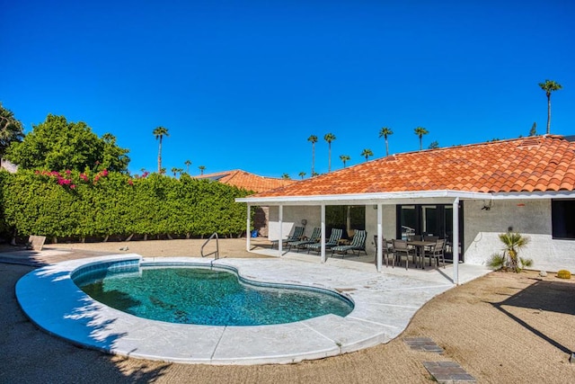 view of swimming pool with a patio