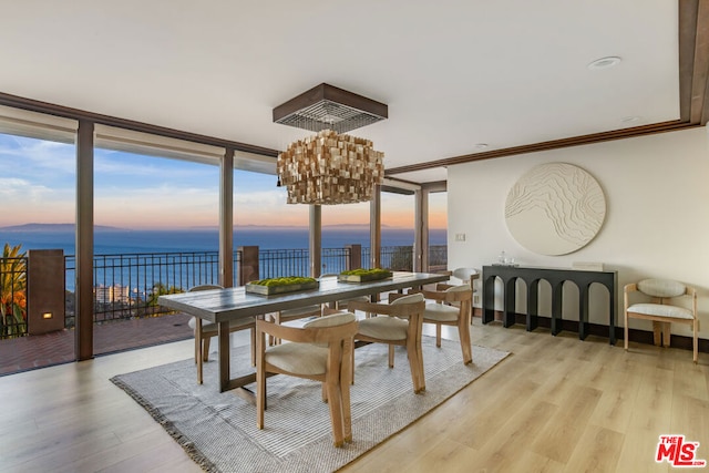 dining space with a water view, a healthy amount of sunlight, and light wood-type flooring