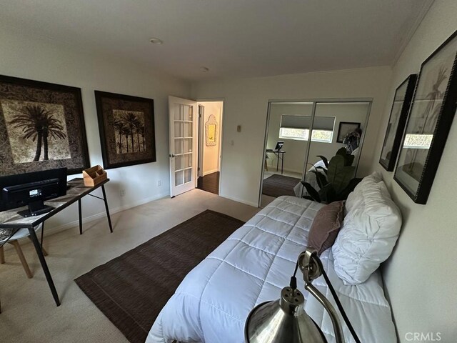 bedroom featuring carpet flooring and a closet