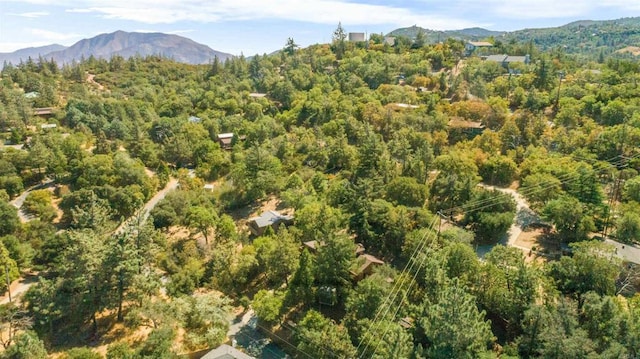 drone / aerial view with a mountain view