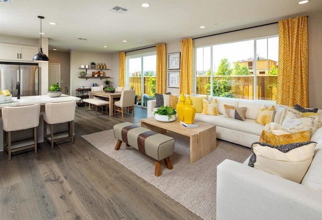 living room featuring dark wood-type flooring