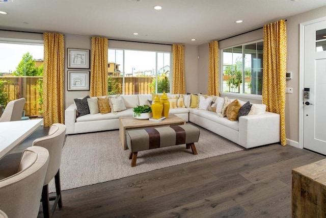 living room featuring dark wood-type flooring and plenty of natural light