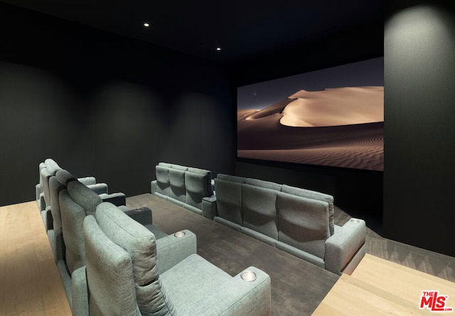 cinema with hardwood / wood-style floors