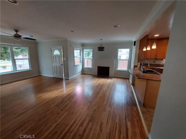 unfurnished living room featuring ceiling fan, sink, and light wood-type flooring