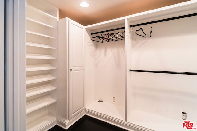 view of closet