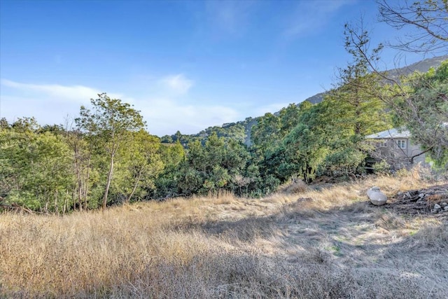 view of local wilderness