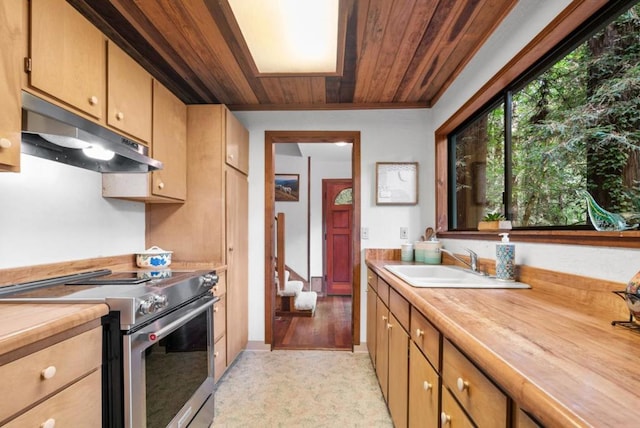 kitchen with sink, wood ceiling, wood counters, and high end range