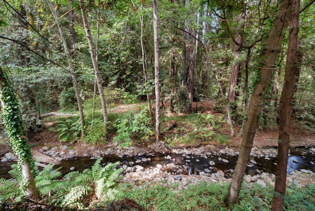 view of local wilderness