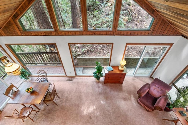 carpeted living room with high vaulted ceiling and a healthy amount of sunlight