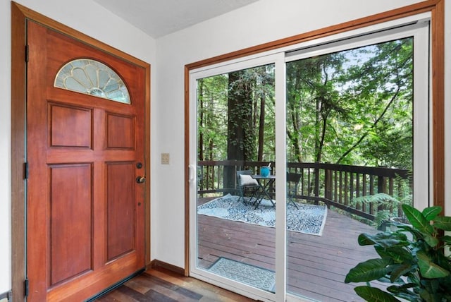 entryway featuring hardwood / wood-style flooring