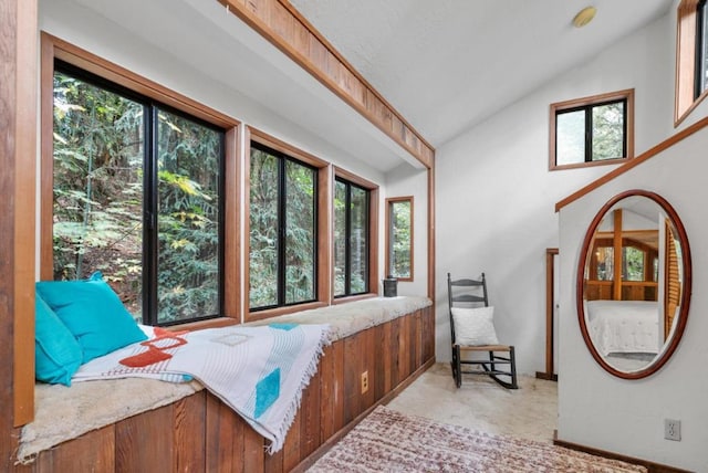 sitting room featuring lofted ceiling