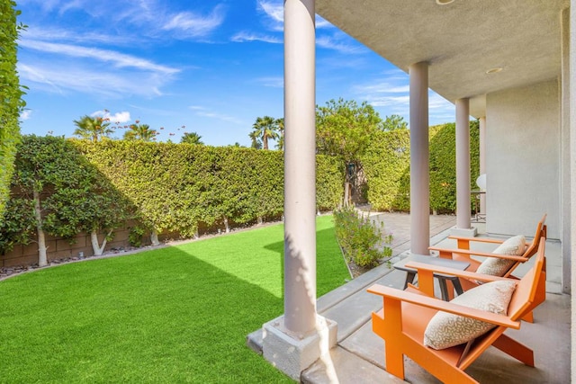 view of yard featuring a patio